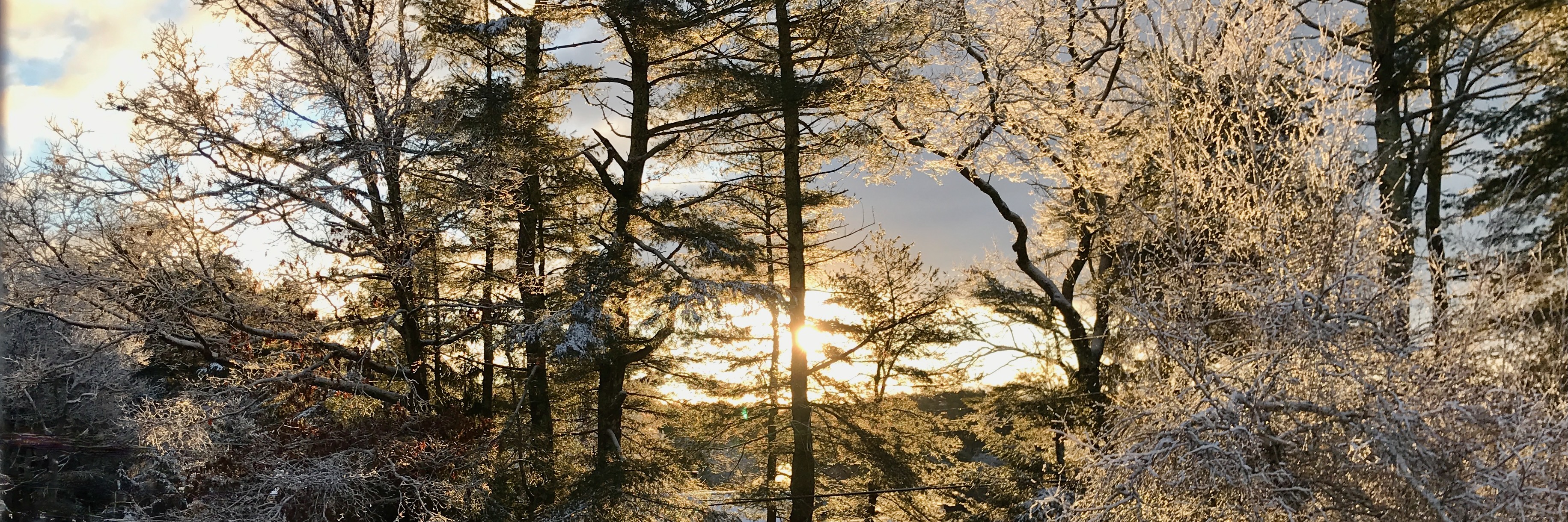 Little Pond winter